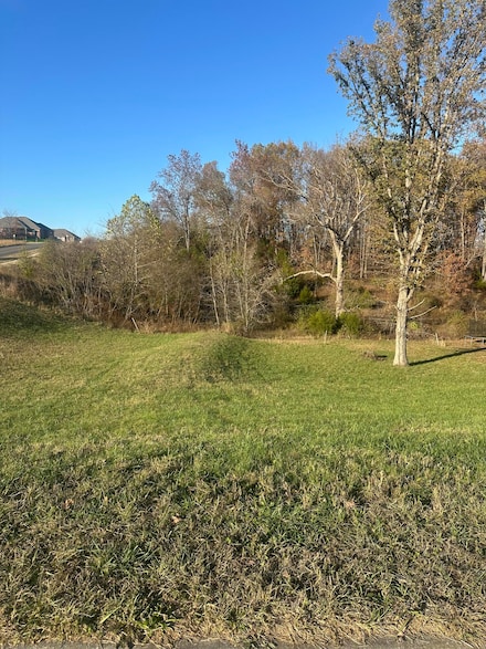 859 E Richmond Way, Nixa, MO 65714