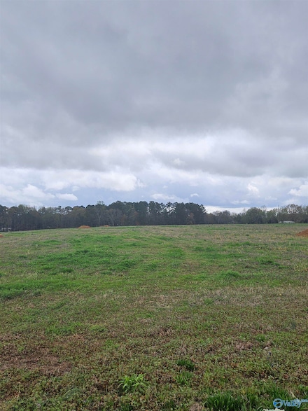 2642 Elkwood Section Rd, Hazel Green, AL 35750
