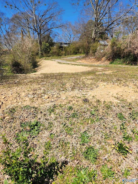 1318 Rayburn Ave, Guntersville, AL 35976