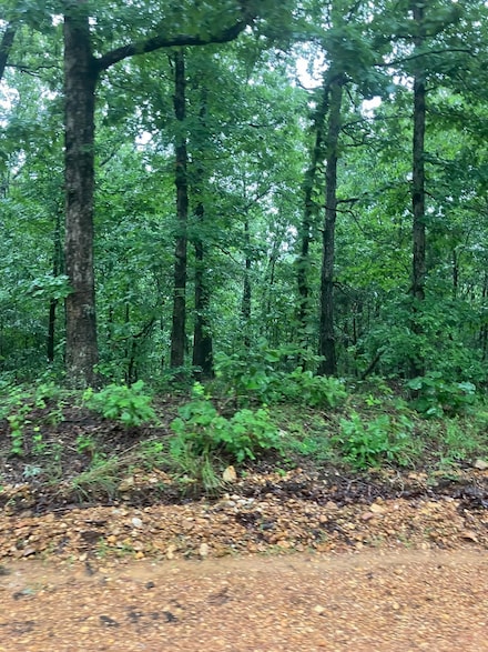 000 Newman Trail, Williford, AR 72482