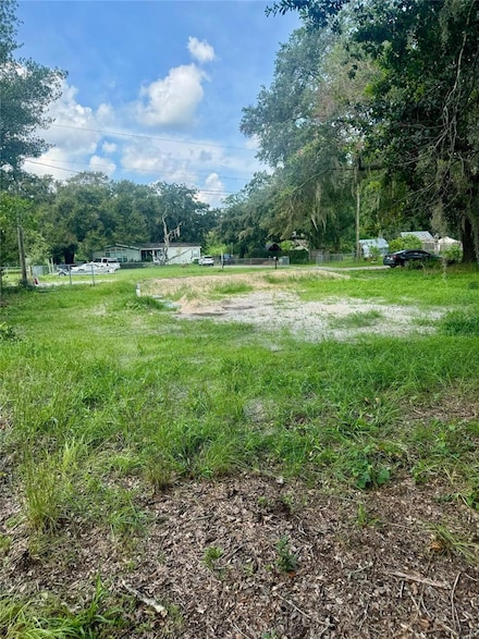 4088 Wajer Rd, Land O' Lakes, FL 34638