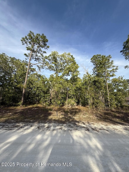 0 MacAssar Rd, Weeki Wachee, FL 34614