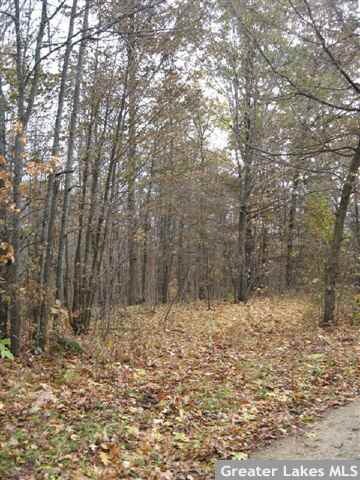 TBD Spider Lane Trail, Laporte, MN 56461