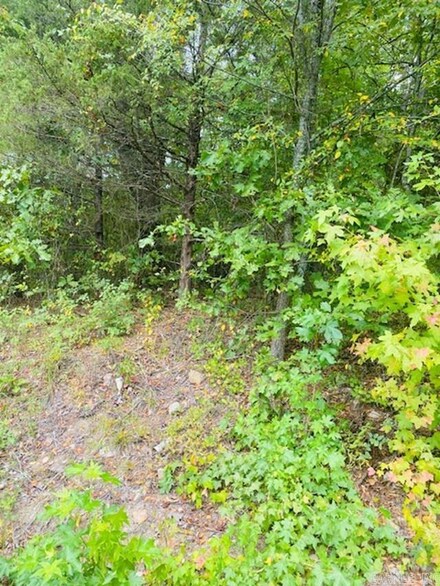 Unk Highland Ave, Mena, AR 71953