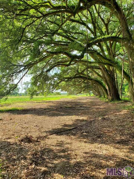 22602 Fletcher Rd, Ponchatoula, LA 70454