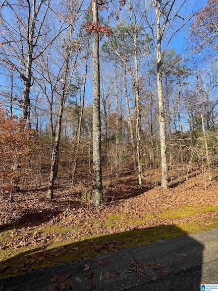 Lot 5 Furnace Creek Pkwy Unit 5, McCalla, AL 35111