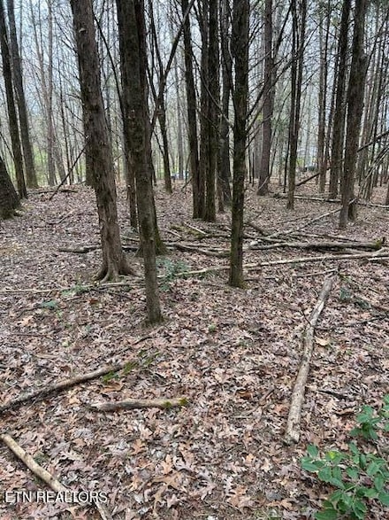 907 Stephanie Ln, Athens, TN 37303