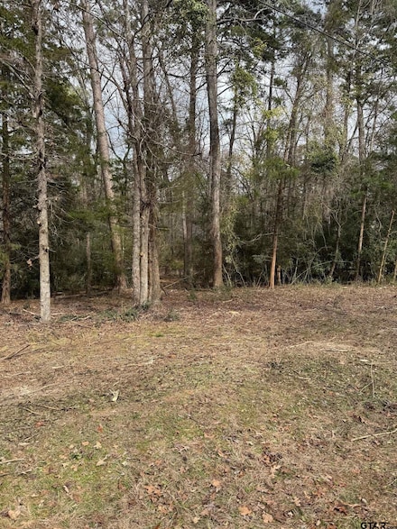Lots 316 & 317 Brazos Bend, Holly Lake Ranch, TX 75765
