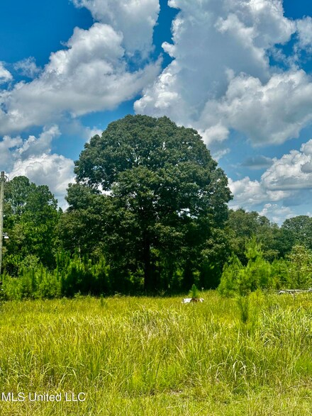 0 Emmanuel Dr Unit 4086972, Lucedale, MS 39452