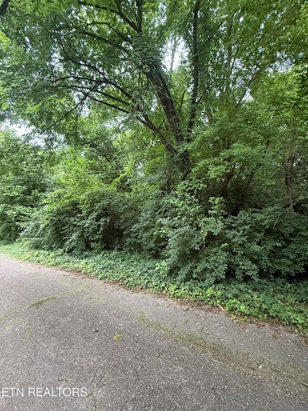 0 Spring Dr SW, Knoxville, TN 37920