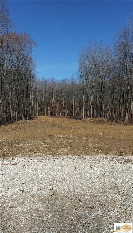 Lot 3 7346 New Bowling Green Rd, Smiths Grove, KY 42171