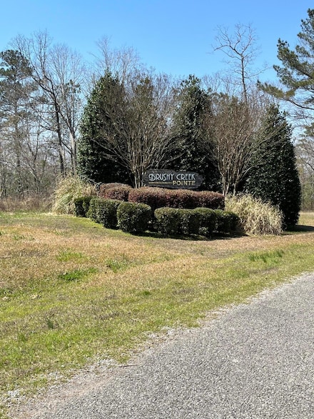 #67 Brushy Creek Pointe, Arley, AL 35541