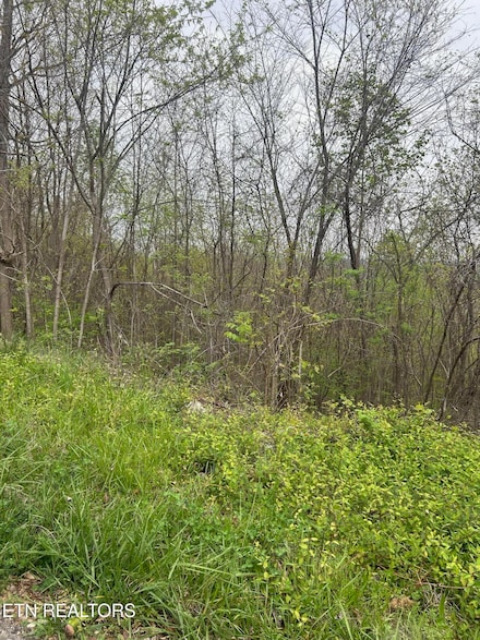 Lot 8 Hickory Pointe Ln, Maynardville, TN 37807
