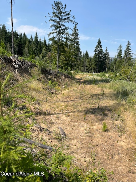 0 E Ridge Dr, St. Maries, ID 83861