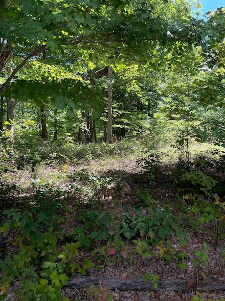 0 Roaring Creek Rd Unit 1503916, Dunlap, TN 37327