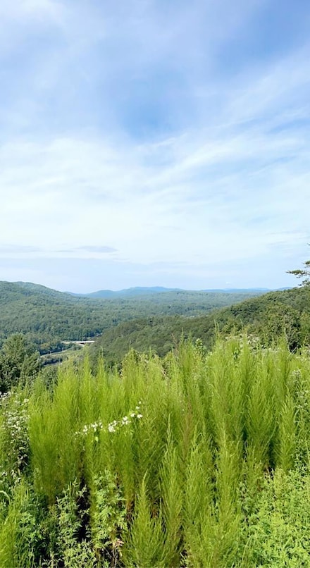 380 Sterling Point, Murphy, NC 28906