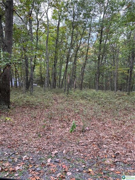 275 Forest Dr, Price Township, PA 18325