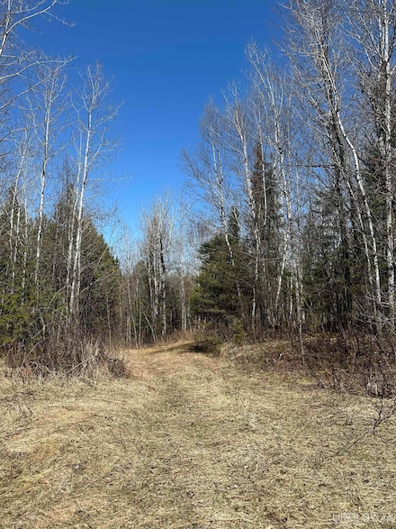 TBD Old 69 Rd, Crystal Falls, MI 49920