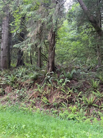251 Lot 002 Woods Creek Rd, Snohomish, WA 98290