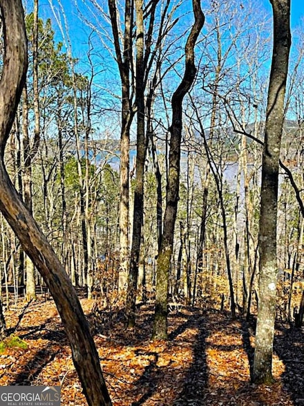 0 Carters Overlook Dr Unit 10531508, Ranger, GA 30705