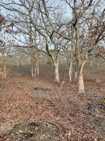 22 Bramble Path, West Tisbury, MA 02568