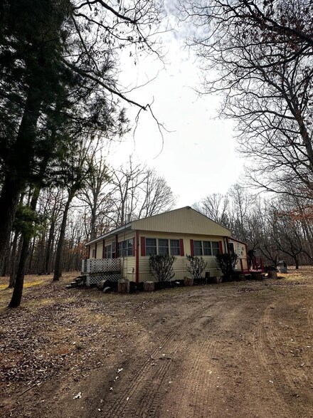 11384 N Irons Rd, Irons, MI 49644