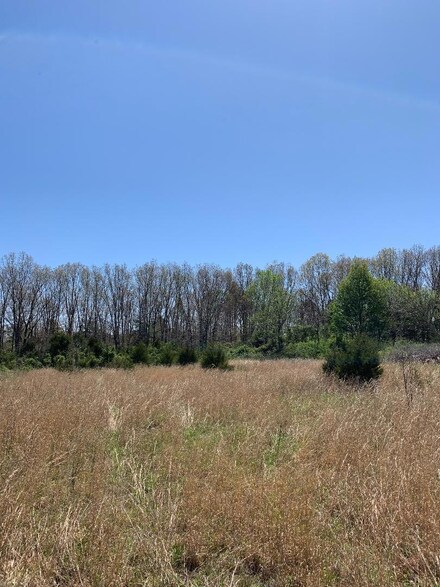 3810 State Hwy W, Vanzant, MO 65768