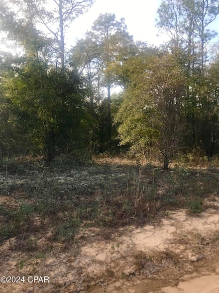 0 Dunford Cir Unit Lot 13 751901, Chipley, FL 32428