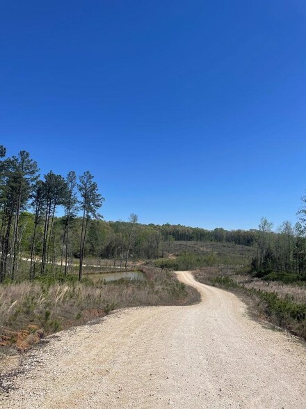 0 E L Walker Rd, Paris, TN 38242