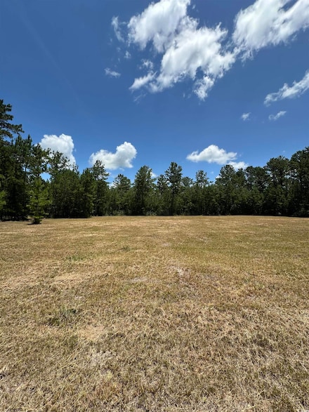 218 Samworth Loop, Georgetown, SC 29440
