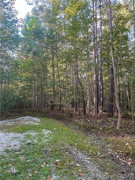 0 Mattaponi Ave Unit 2321842, King William, VA 23181