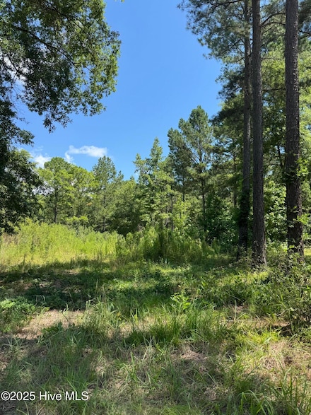 244 Rascob Rd, Buffalo Lake, NC 27330