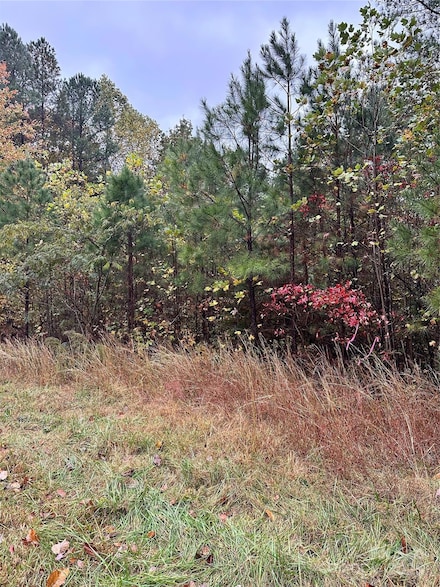 10.863 Acres Myers Mill Rd, Statesville, NC 28625