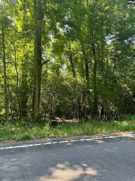 0 Pisgah Rd Unit 596495, Rembert, SC 29128