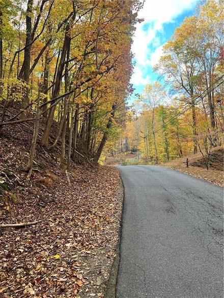 3364 Crippled Oak Trail, Jasper, GA 30143