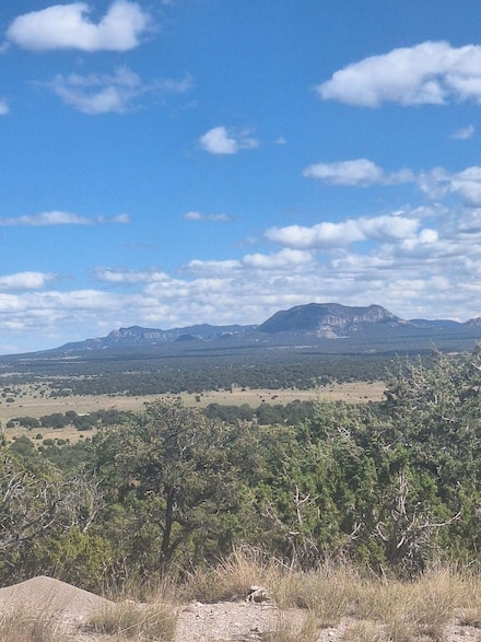 86 Elkwood Dr, Pie Town, NM 87827