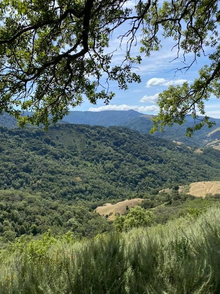 0 Via Vespero Unit ML81974168, San Jose, CA 95120