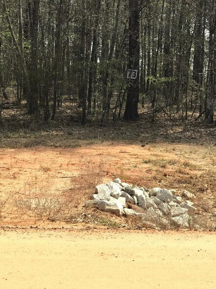 Lot 21 Stapleton Acres Dr, Stapleton, GA 30823