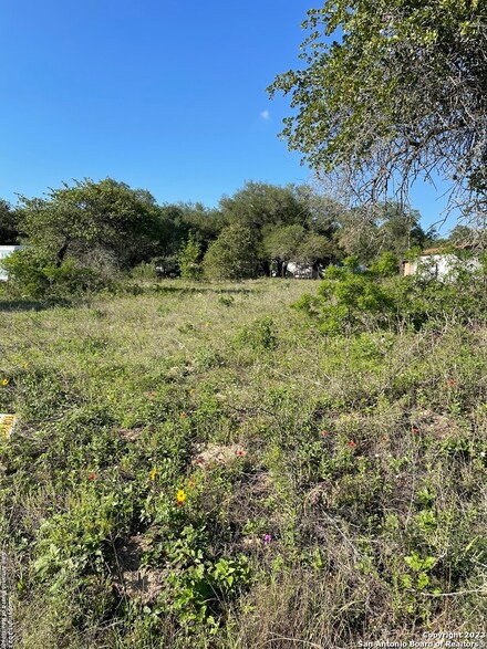 23323 Grand Springs, Elmendorf, TX 78112