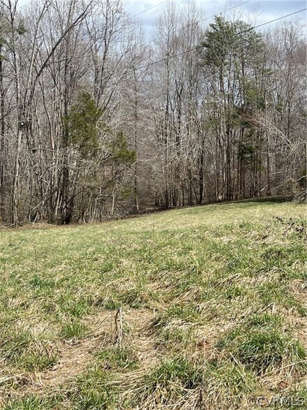 0 Arrow Head Ln Unit 2202937, Palmyra, VA 22963