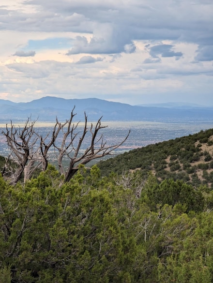 0 Ortiz Mine Grant Unit 202503726, Cerrillos, NM 87010