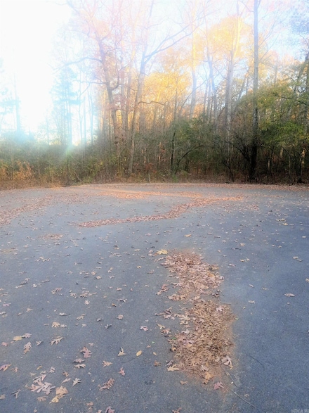 3603 Rosepoint Cove, Little Rock, AR 72206