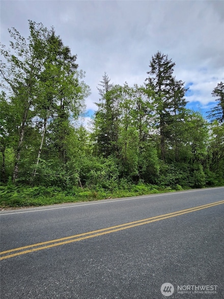 0 Henriot Rd Unit NWM2377131, Toledo, WA 98591