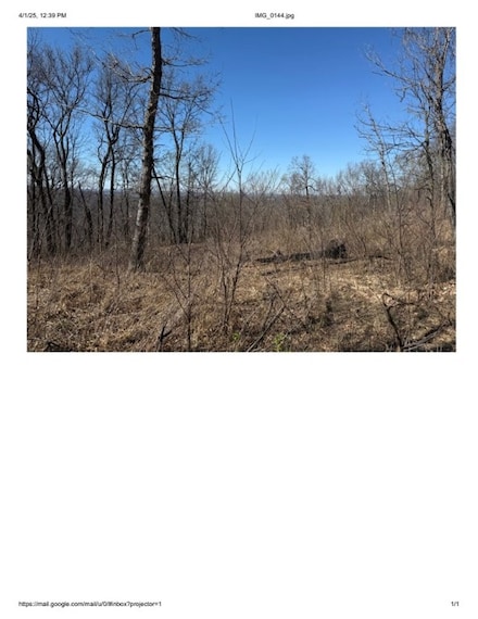 Lot 38 Peaceful Place, Harrison, AR 72681