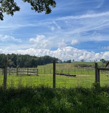 2151 Egeria Rd, Odd, WV 25902