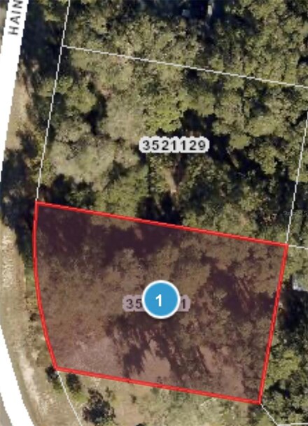 0 Haines Creek Rd Unit MFRG5080134, Leesburg, FL 34788