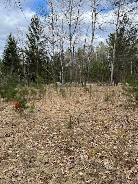 3261 County Highway G -, Pelican, WI 54501