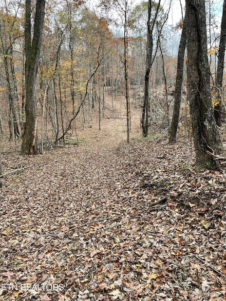 300 Ivy Moore Cir, Decatur, TN 37322