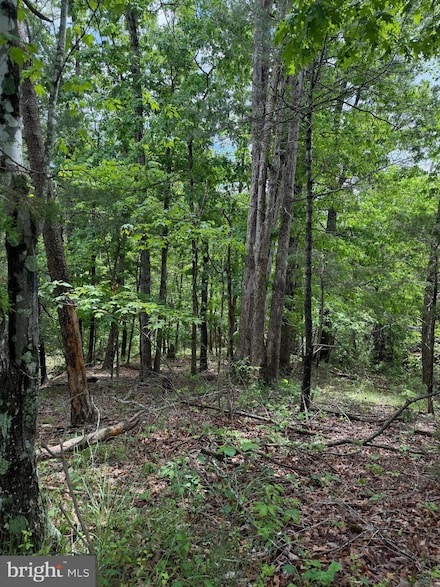 0 Alum Springs Rd Unit VASH2011454, Edinburg, VA 22824