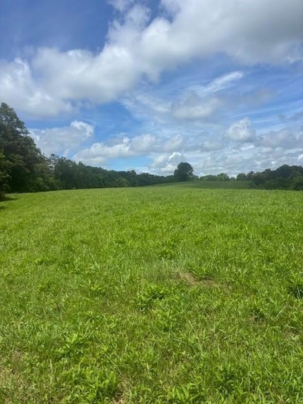 429 Chapel Rd, Mount Olivet, KY 41064